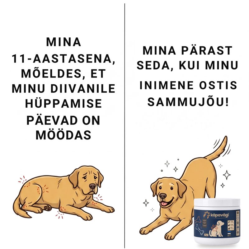 Käpaväe reklaam 7